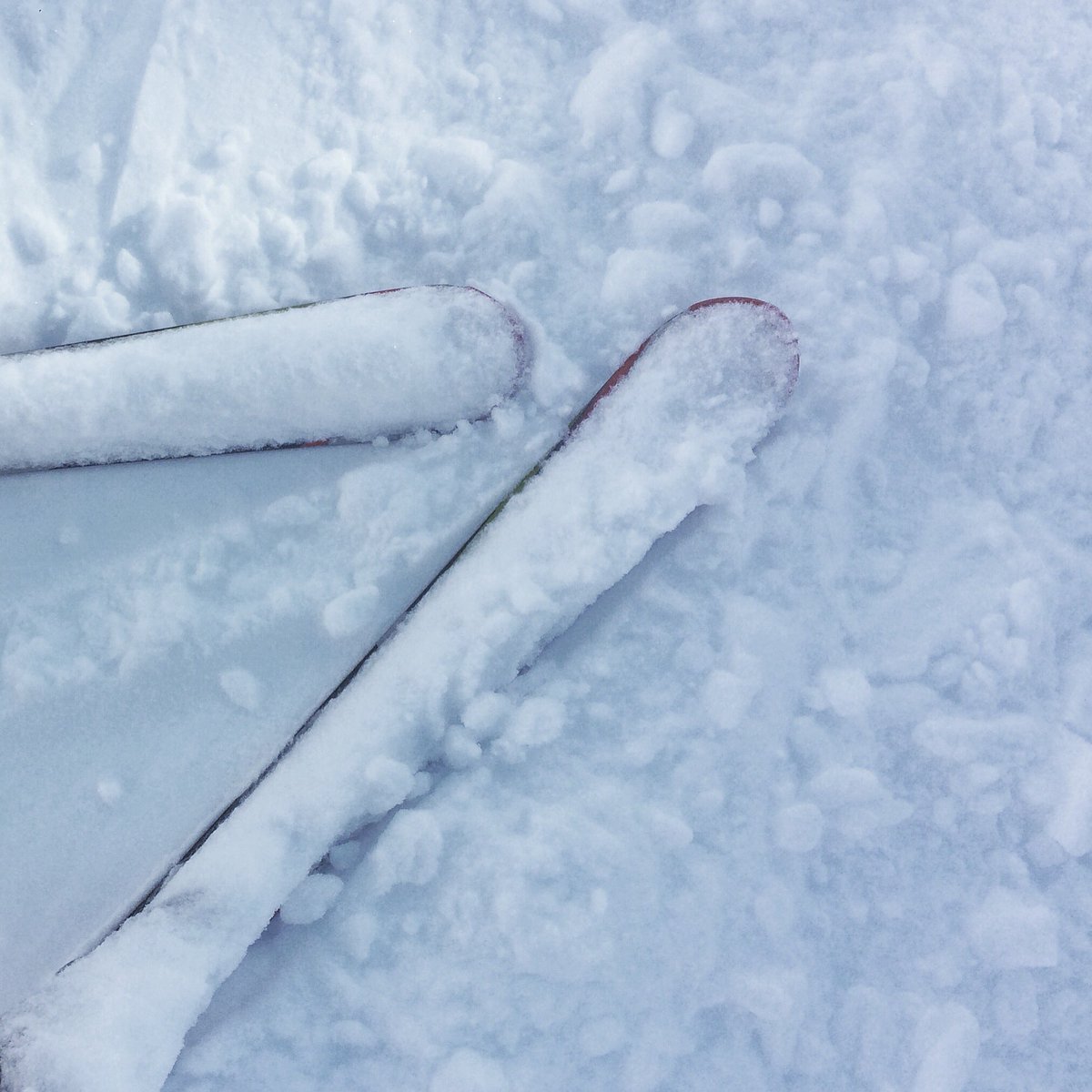 Baselona #lamasella <a href="/suton/">SuPTon</a>. Me recuerda al Garrulismo de <a href="/CafedelMar/">cafedelmar</a>.Cualquier dia les patrocina <a href="/lilladiagonal/">L'illa Diagonal</a> <a href="/annadeti1/">Annadeti</a> @PuigdemonCarles