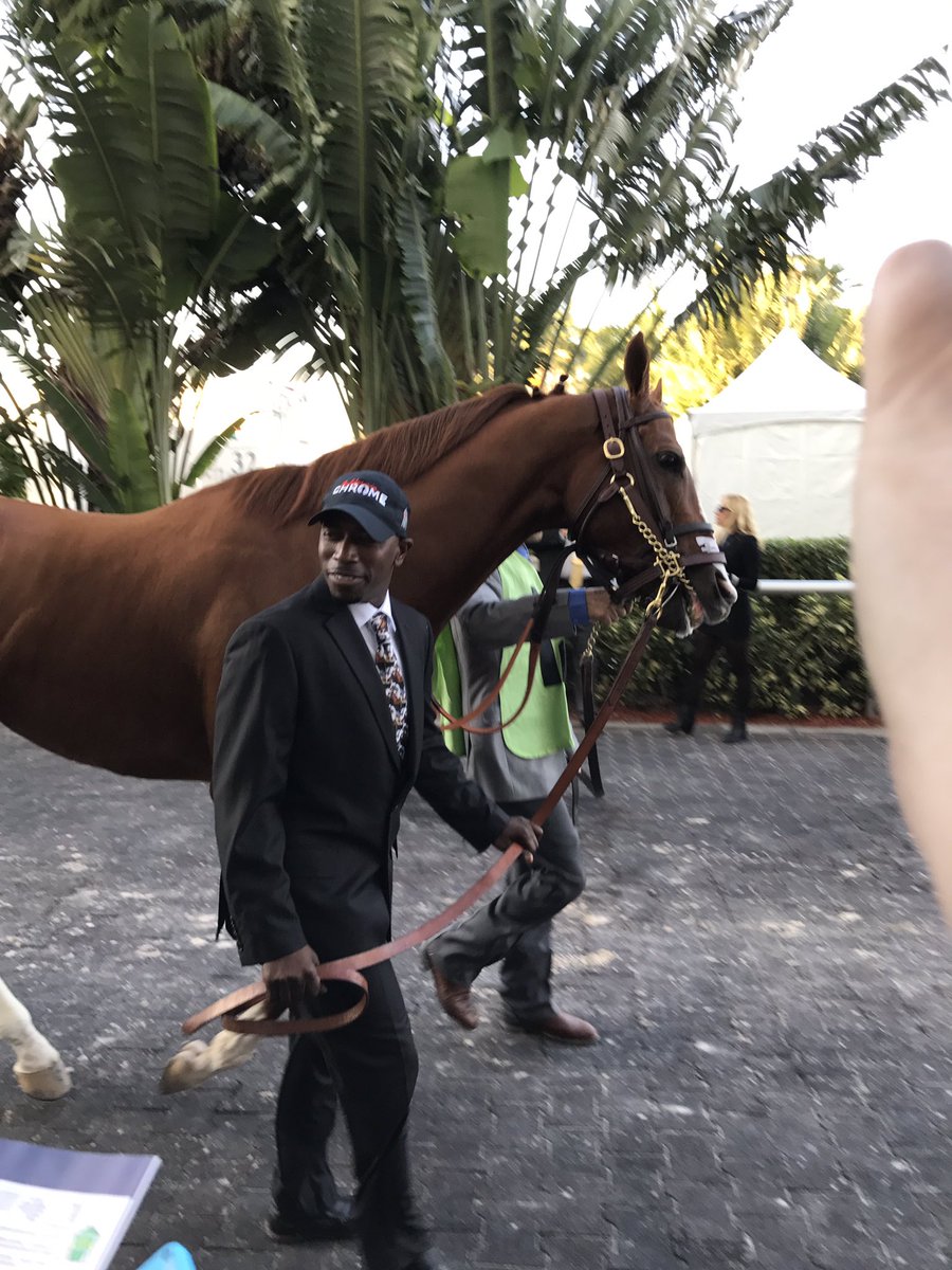 MHoppertNYT's tweet photo. California Chrome with his exercise rider before his last race, the $12M Pegasus Cup. https://t.co/fsEIeIwh28