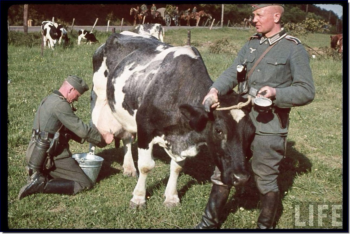 AntiquarianMuse's tweet photo. @CNBC @romanbelgin4 @realDonaldTrump is gathering his economic team #BadMoooood #alternativefacts #MisSteak https://t.co/7dUR2cpl0U