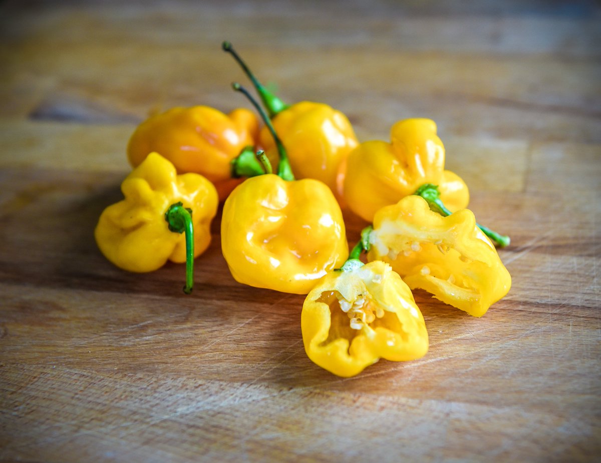 We ♥️ Habaneros!! #chilipepper #HABANEROLOVE #HotSauce cincosauce.com