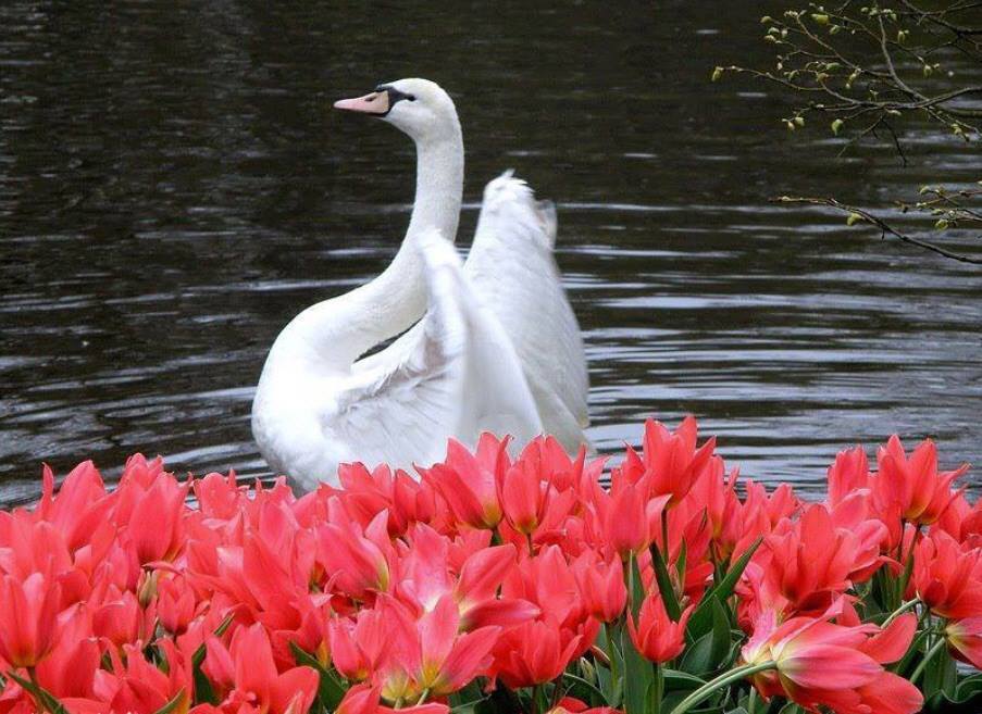 samiajeel7@Gmail.com tweet media