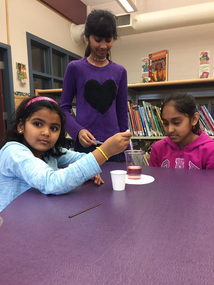Girls in Action Surrey School District program learning about the impacts of acid rain. @TDFEF @MauroManzi_TD <a href="/BruceGray_TD/">Bruce Gray</a> <a href="/SD36CSP/">CSP Surrey SD36</a>