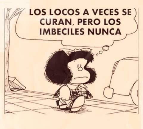 Jose Antonio tweet media