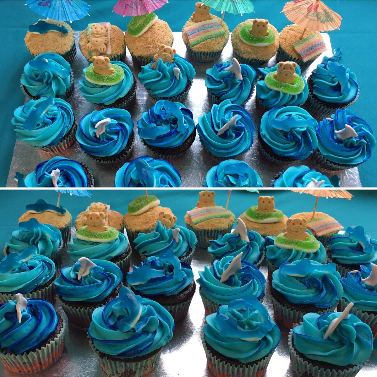 Jody_Seeley's tweet photo. My sis is the best! #sharktheme #cupcakes #birthday #kaidenseeley @lajacksonfries https://t.co/2hjXYVzk1S