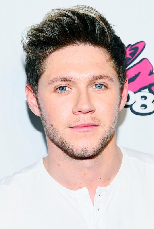 craazym0fa's tweet photo. #OneDBestFans @NiallHBra https://t.co/Qh9QxbSKvr