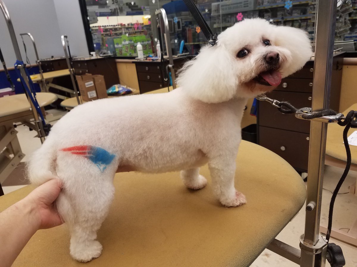 Petsmart1167 tweet media