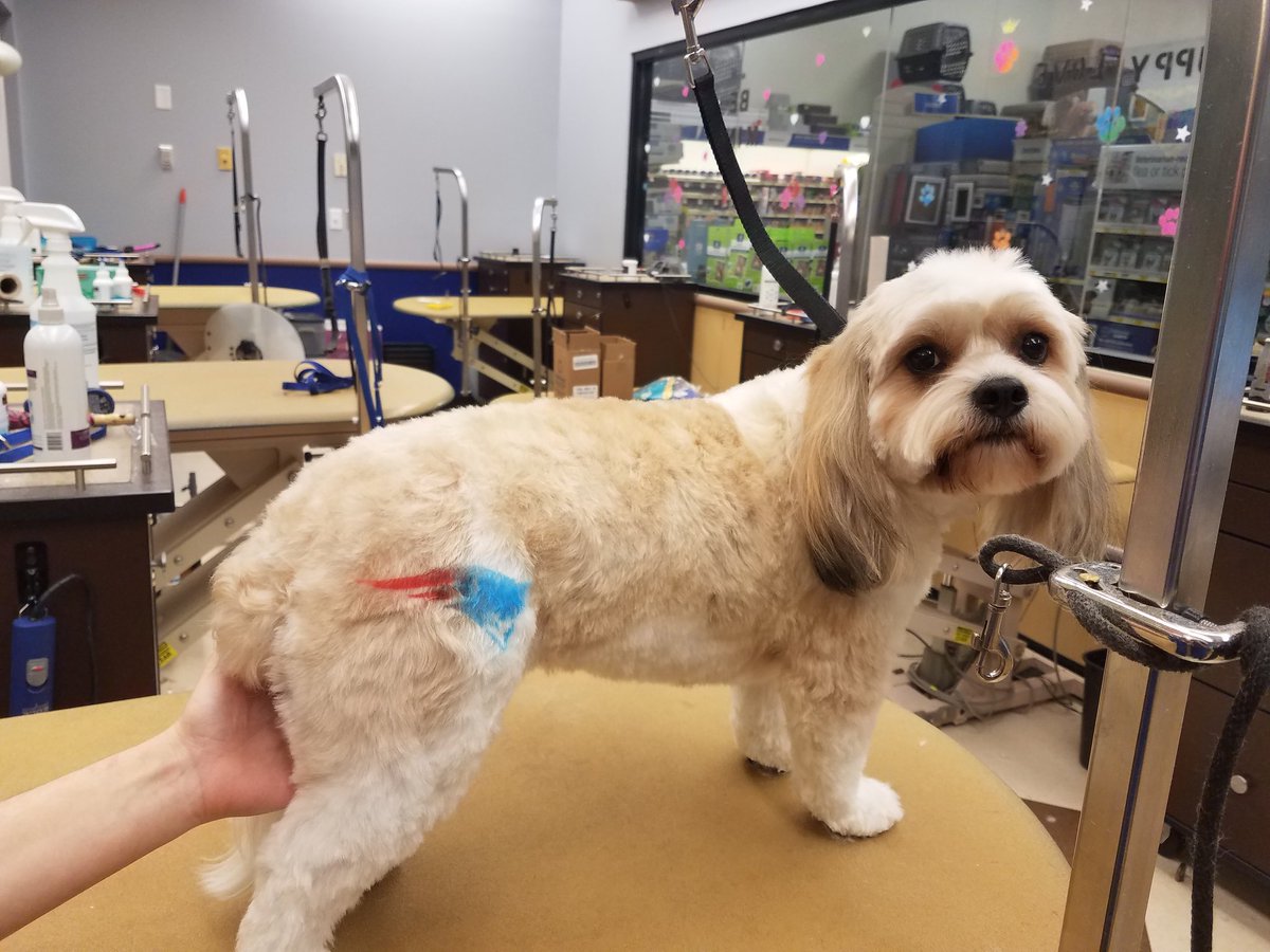 Petsmart1167 tweet media