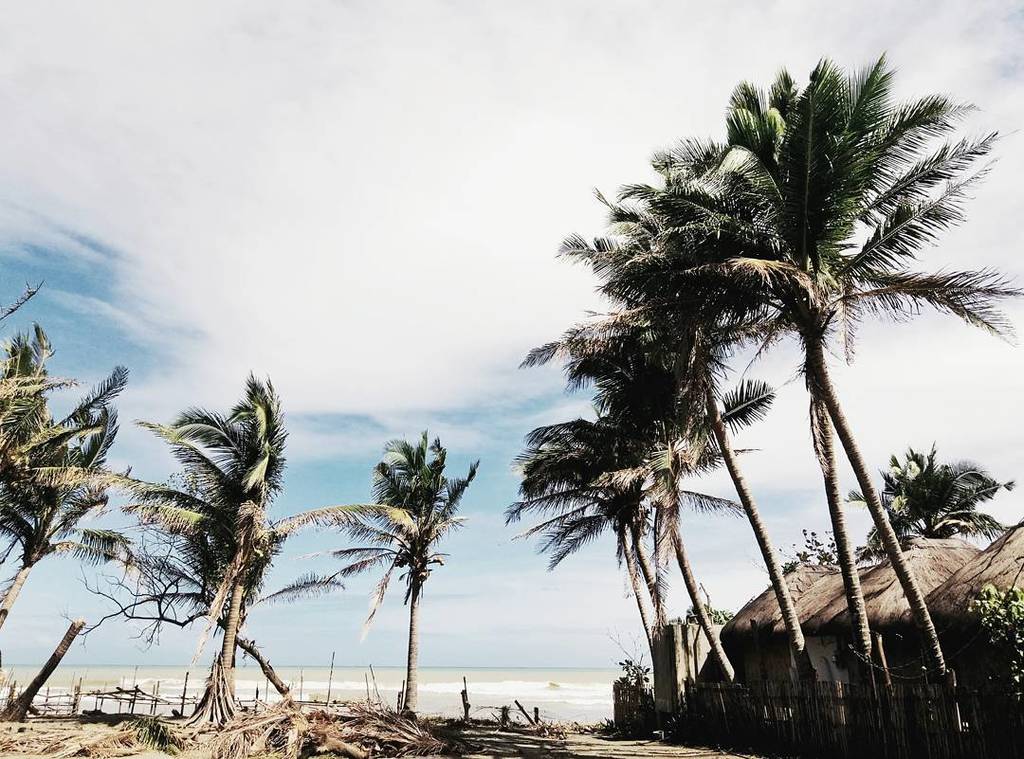 raamseees's tweet image. A sky full of coconuts! 😁👌🌴 #baler #sabangbeach #firstof2017
