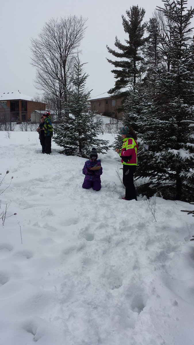finnerst74's tweet photo. Outdoor Skills Club - Orienteering in The Peace Park @BobcaygeonPS https://t.co/kAjPOSm341