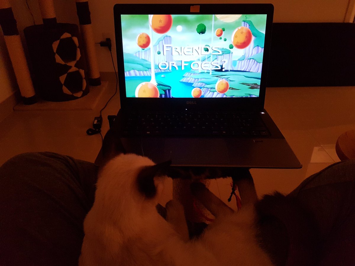 Assitindo dragonball com a Cléozinha <3