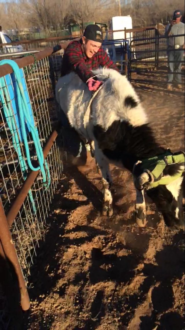 slingin_beef's tweet photo. Poor guy got hung up ridding a roping steer. #90orNothing https://t.co/9igj5hMFEw