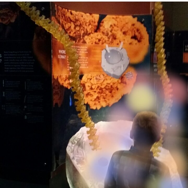 XuscaSoleNY's tweet image. #Science calls junk that #dark string,
 but might be #spiritual #DNA ,
many #facts still missing on true #knowledge 
youtu.be/r_cBKkY48H4