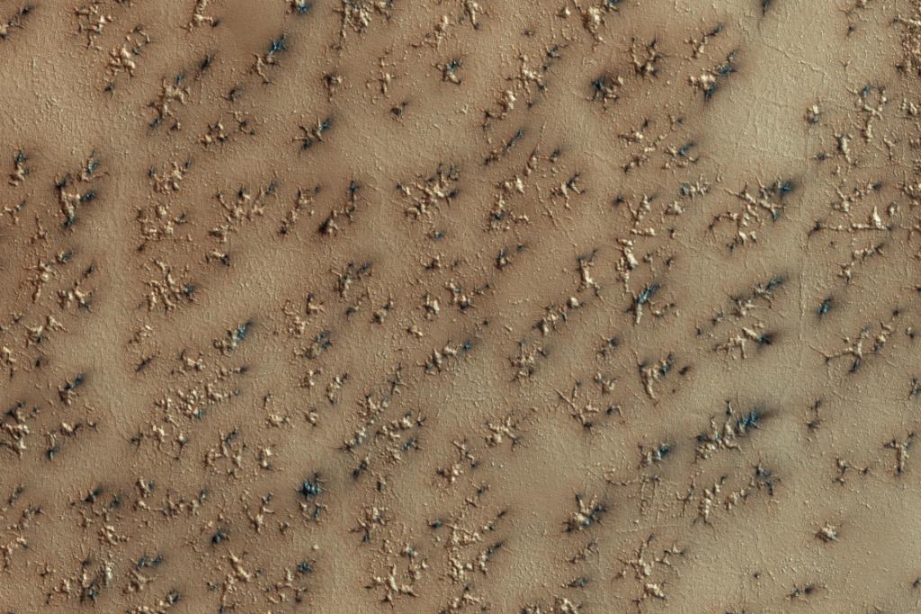 NASA's tweet photo. Each winter dry ice covers Mars’ South Pole; in spring gas caused from heating the dry ice escapes, carving channels https://t.co/DnJspHZyRQ https://t.co/bF5XhYJNhf