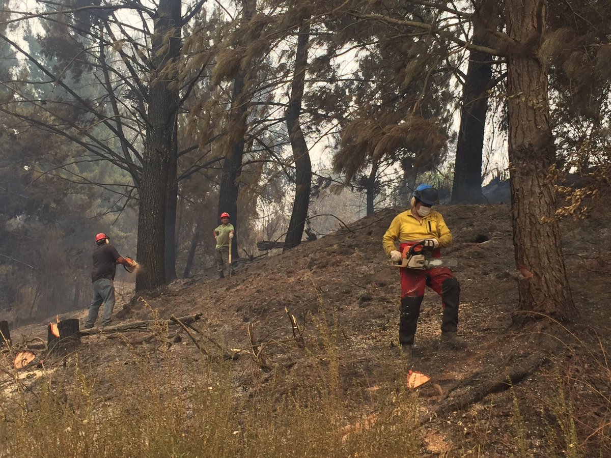 rvfradiopopular's tweet photo. ¿Recuerdan a los Mineros de Mina Santa Ana de Curanilahue?  Esos que dejó tirado @paulfontaineb? Acá están ayudando en Incendios Forestales: https://t.co/gIt77yTMWf