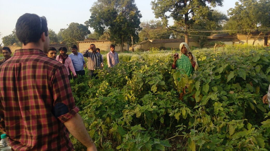 RGMVP's tweet photo. Compost effect is immediately visible in vegetable cultivation -Mauranipur block Bundhelkand,Jhansi Region #18DaysCompost #SHGs @RGMVP #RGCT https://t.co/TEb6unedlb