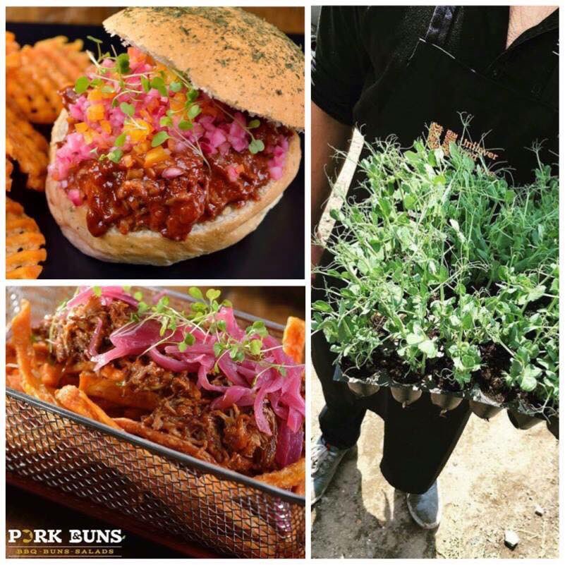 En <a href="/PorknBuns/">Pork & Buns</a> no hay muro que nos detenga, por eso cosechamos nuestros propios micro-greens y apoyamos el consumo local.