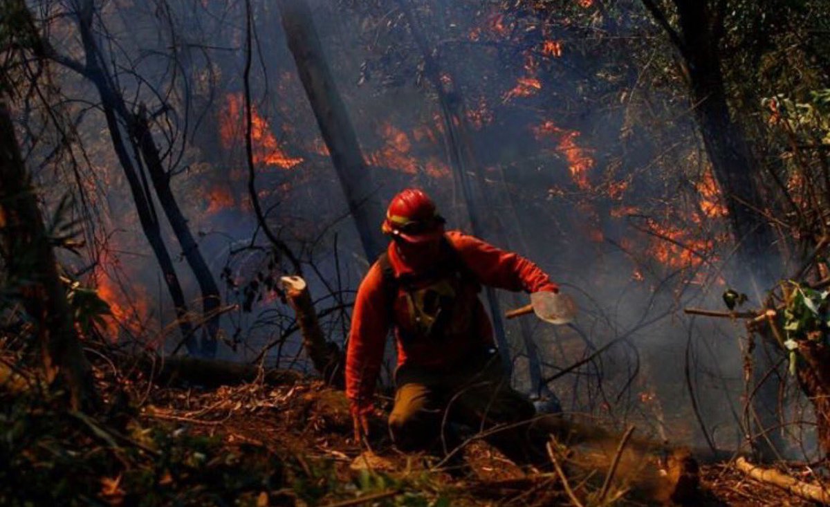 unionespanola tweet media