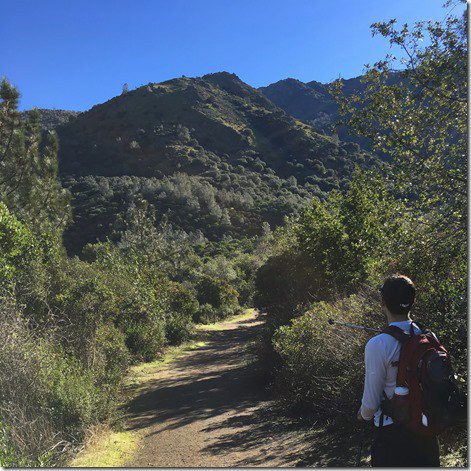 Waterfalls of Mount Diablo Loop Trail Hike brittsblogging.wordpress.com/2017/01/28/wat…