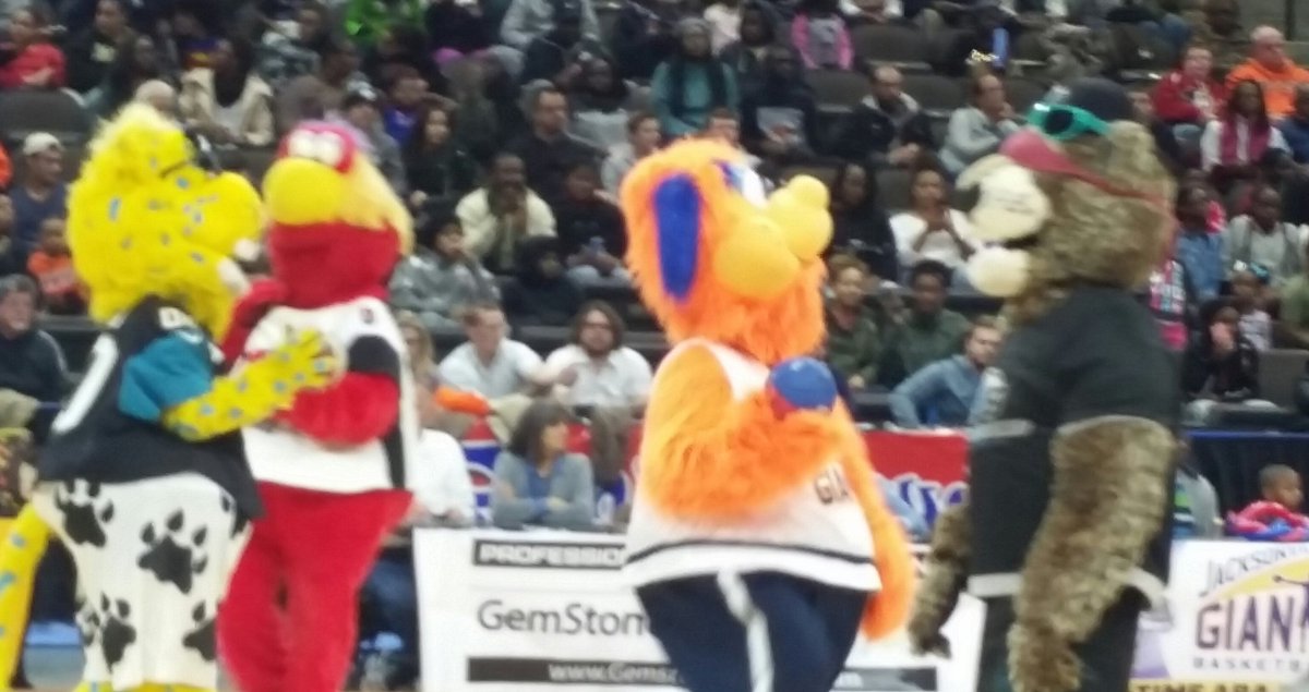 iStaceyHall's tweet photo. #JaxGiants Halftime. The gang's all here. #Jaxson #Chum #MrBiggs #Jolt https://t.co/zbLAx04hMN