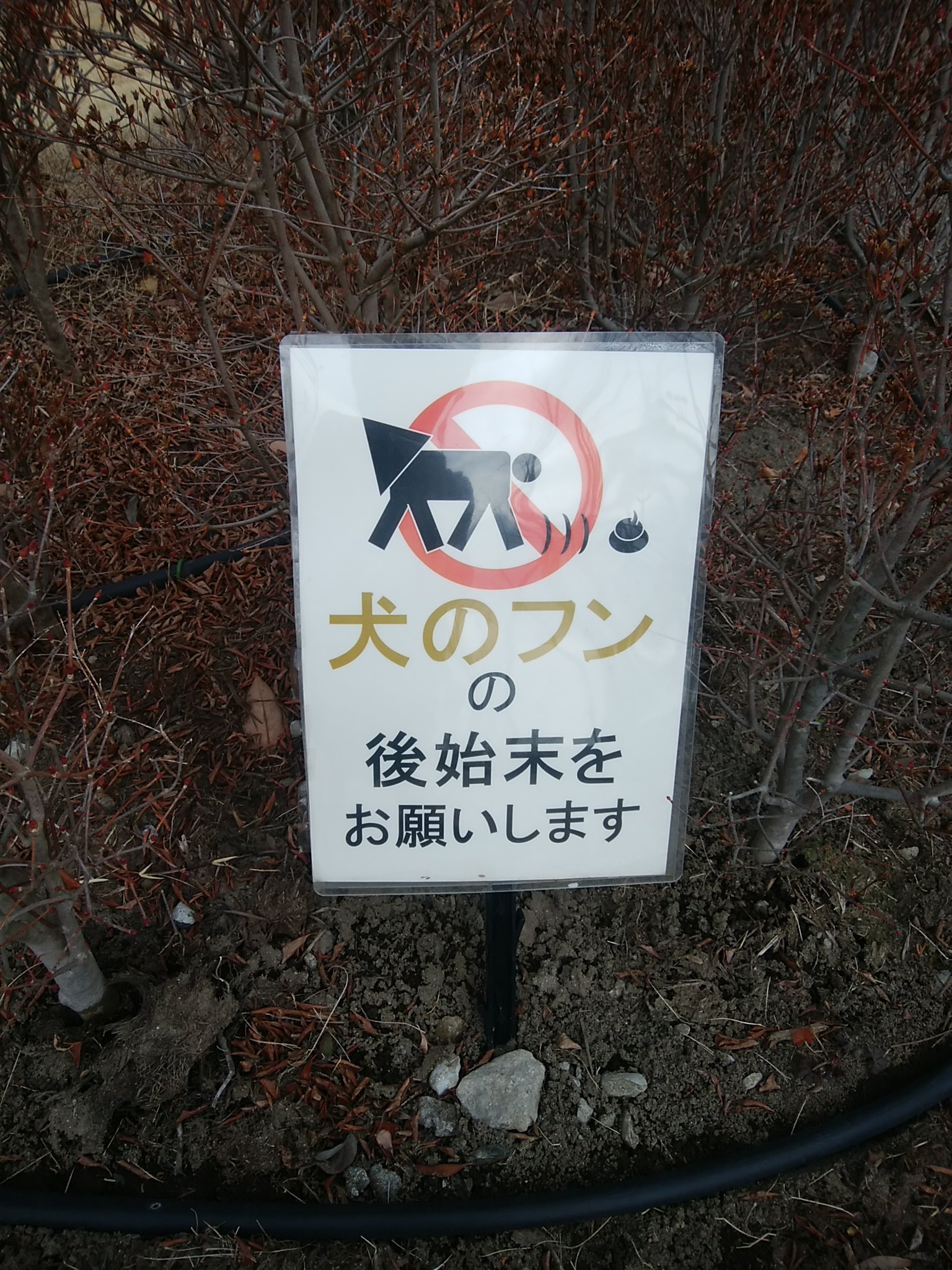 うにょ On Twitter 四つん這いになって尻に三角コーン付けてる人 て旦那が言うからもうそうにしか見えない Https T Co Utckwmzm5f Twitter