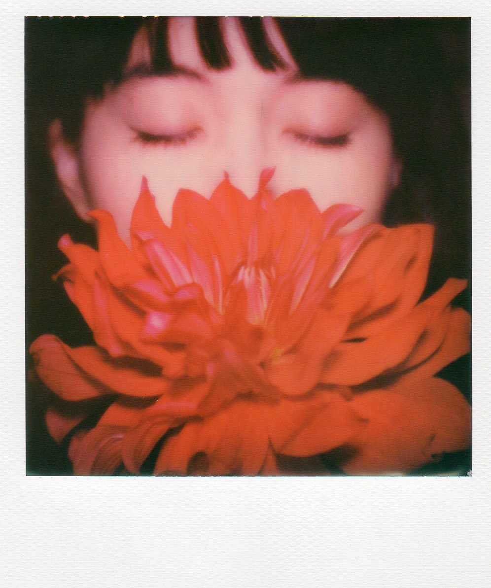 nakaiakio's tweet photo. Red Dahlia๐บ
#instantwish #impossibleproject #instantlab #instantfilm #ใใฉใญใคใ #ใใผใใฌใผใ ใขใใซ @25Takeaya โจ https://t.co/v7c111Uys4