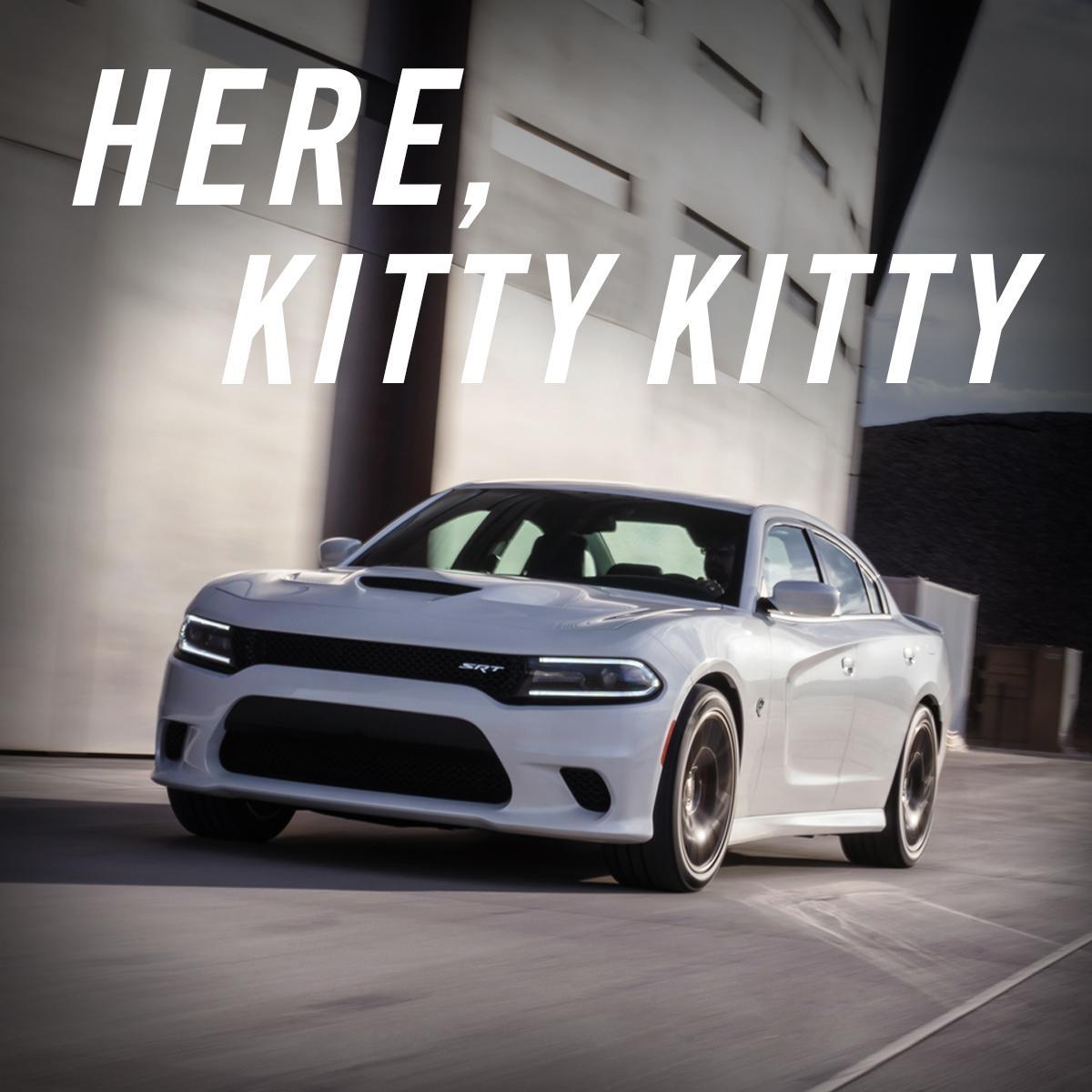 Dodge's tweet photo. https://t.co/o8aBDhnxw0