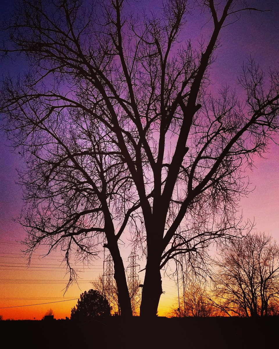 WoodFawn's tweet photo. #Sunset in Aurora,  CO 1/27/17
#cowx #colorfulcolorado https://t.co/SiMUi1zCL4