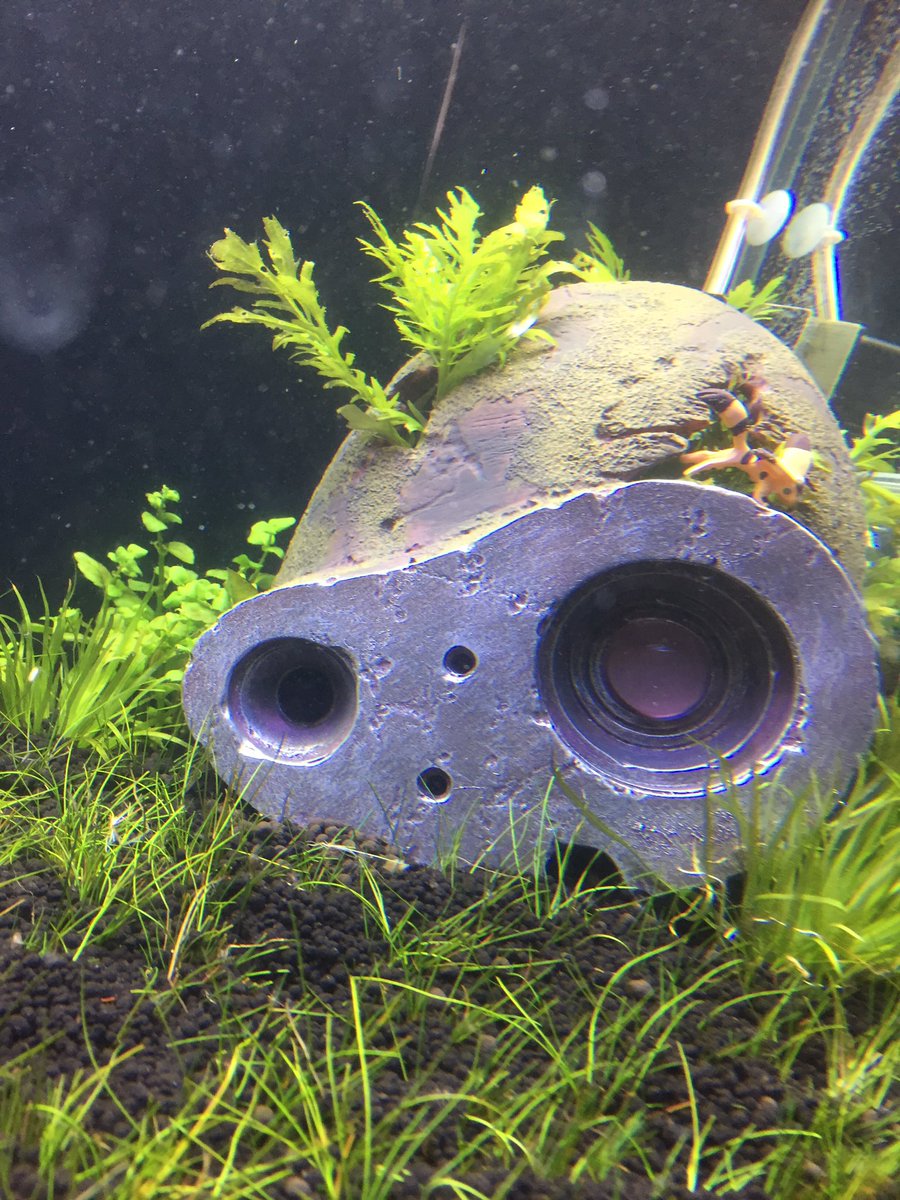 ロボット兵の思い