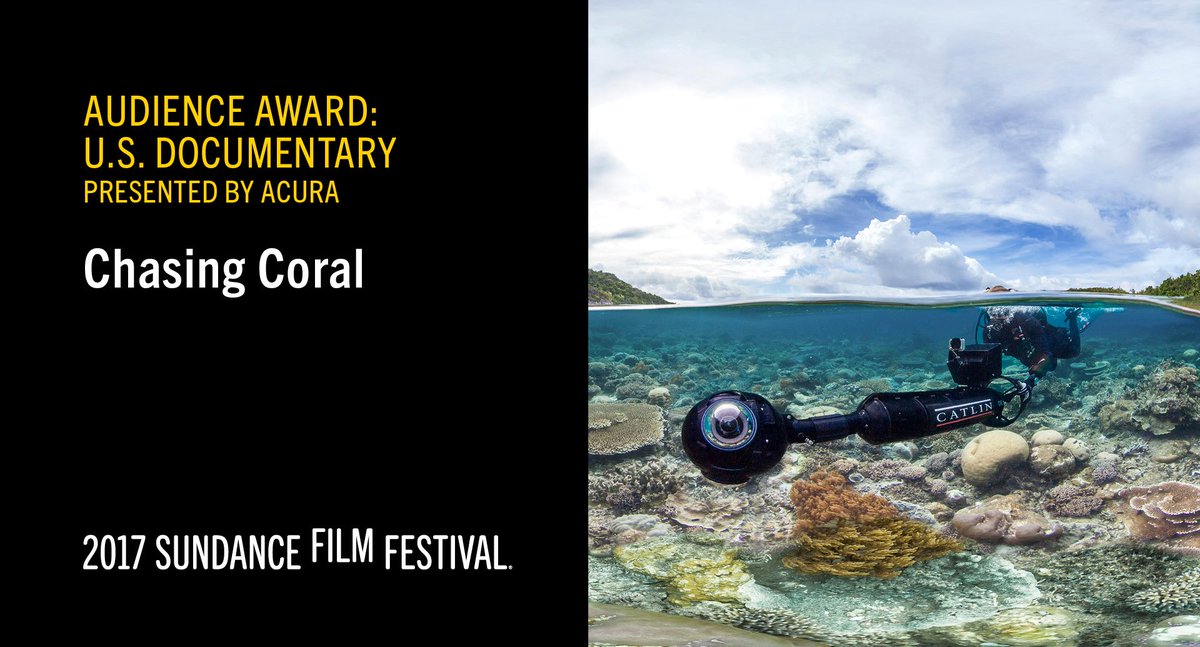 sundancefest's tweet photo. The Audience Award: U.S. Documentary presented by @Acura goes to @ChasingCoral / Director, @jefforlowski #Sundance https://t.co/w4leE99cuC