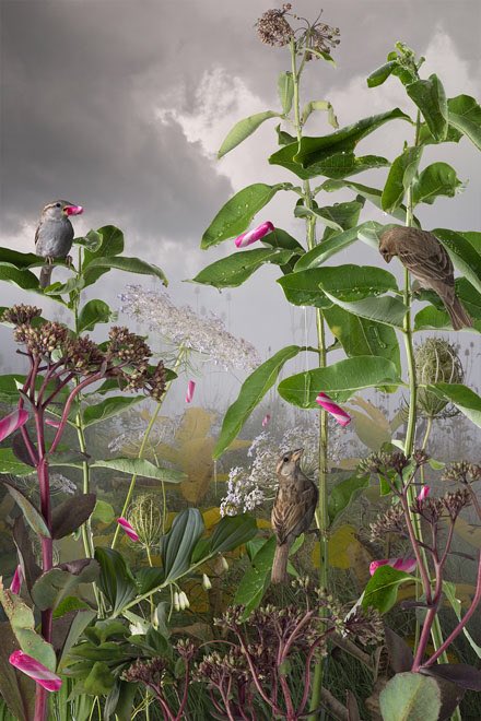 Check out the After Industry page on our website to preview some of the works in the exhibition opening Fri 2/3/17 Wassermanprojects.com