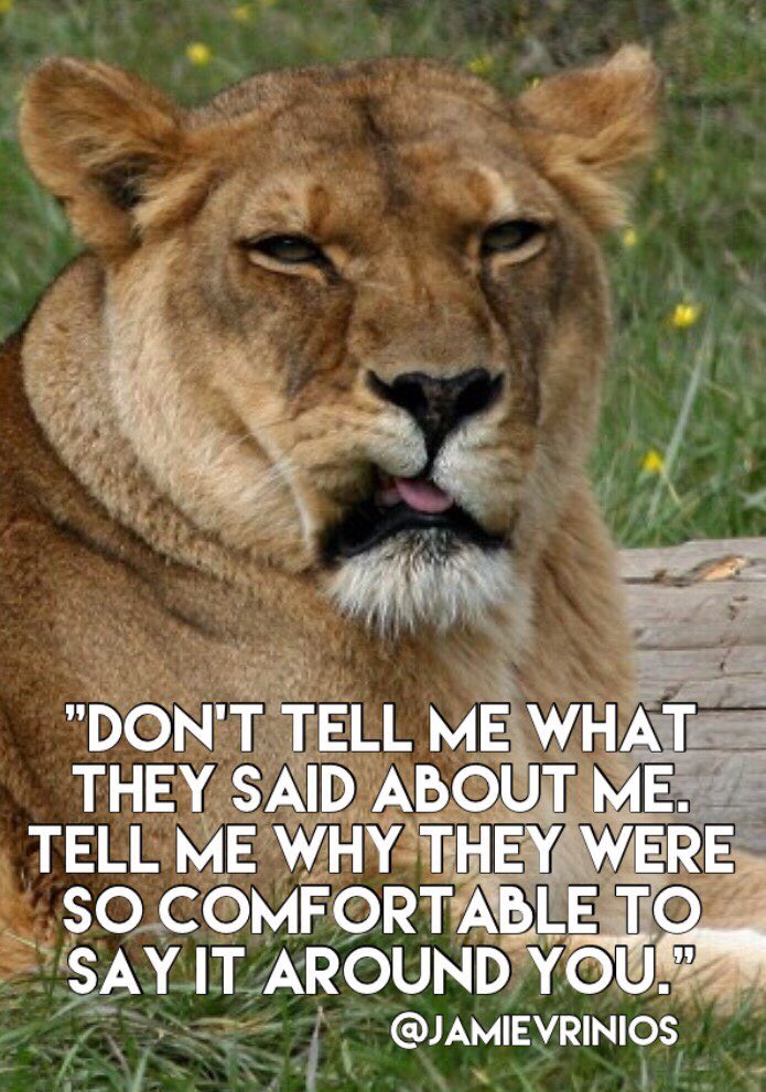 JamieVrinios's tweet photo. Keep your circle TIGHT🎯🦁 https://t.co/JJckgG5oRS