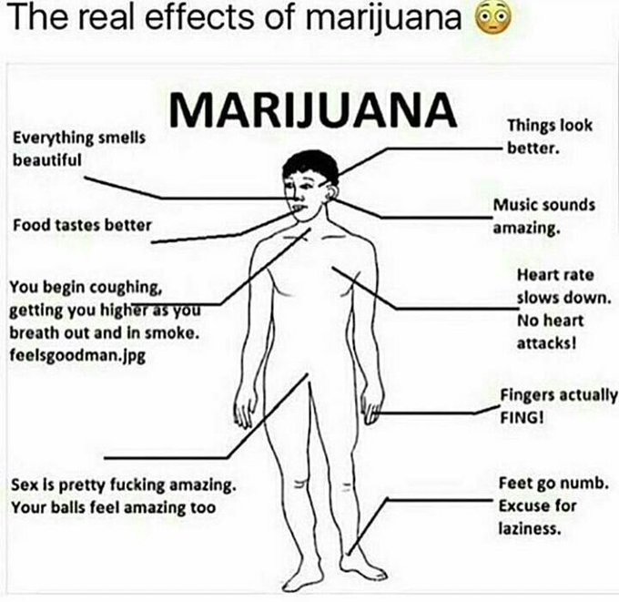 I swear https://t.co/HNPNH8yUQX<a href="/tag/rt"class="tags"><span>#rt</span></a><a href="/tag/goodluck"class="tags"><span>#goodluck</span></a><a href="/tag/retweeet"class="tags"><span>#retweeet</span></a>