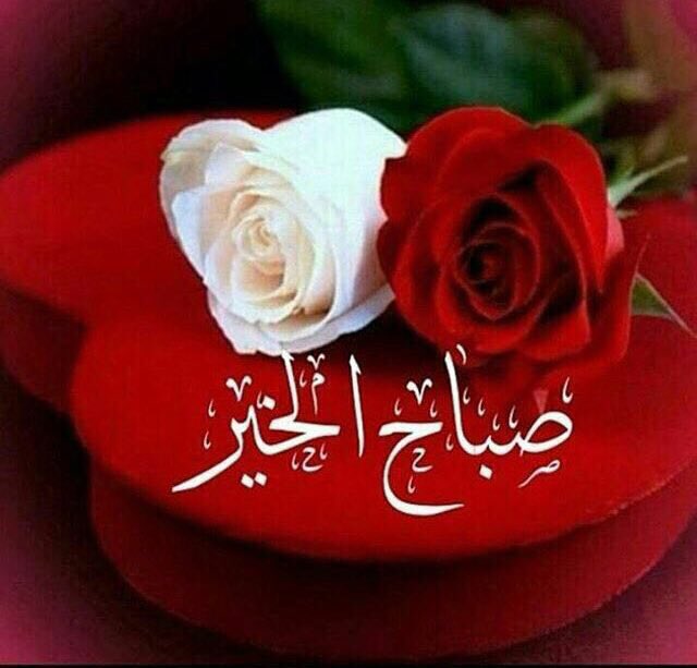 #صباح_الخير
احيانا تأتيناالسعادةُ كثيرًا على هيئةِ
 كلمة عميقه 
 نسمةُ هواء عليلة
 هديةٌ من صديق🌹
 وذكرى أنِيقة 
و دعوةٌ من قلوب جمِيلة ❤️