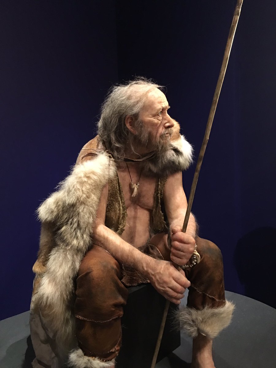 Twitter এ Dr Shirai Hakase Greevrstudiolab Ai神絵師本 ネアンデルタール人も ハイデルベルク人も イケメンなのにね クロマニヨン人はさらにイケメンに描かれている イケメン以外は子孫を残せずに耐えたのか Dna的に組み込まれながら絶滅する ネアンデルタール