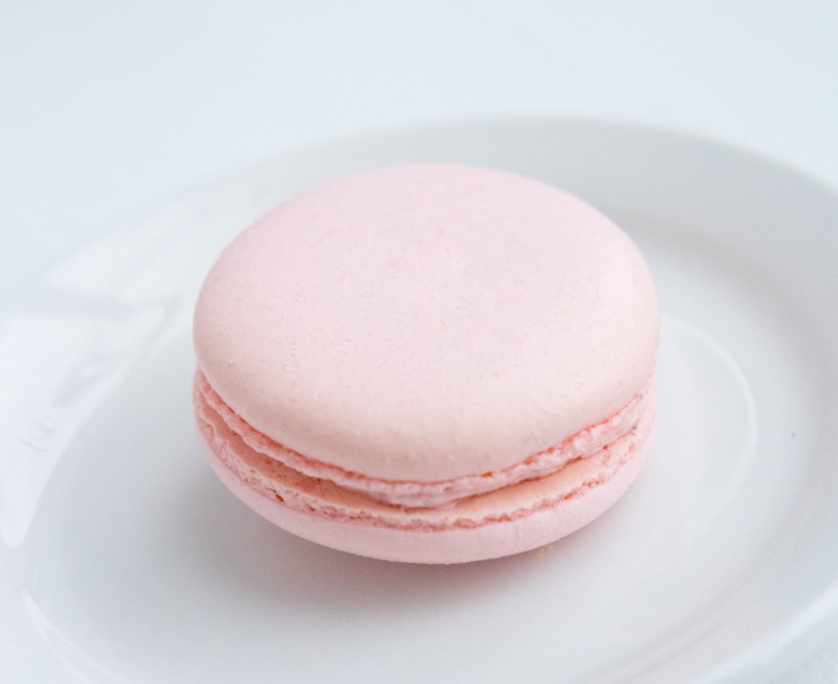 SavingThyme's tweet photo. Raspberry bliss 💕
_______________
#savingthyme #catering #Patisserie #BurlON  #local #discoverburlington  
@discoverontario @foodnetworkca https://t.co/VmW0T5H6s2