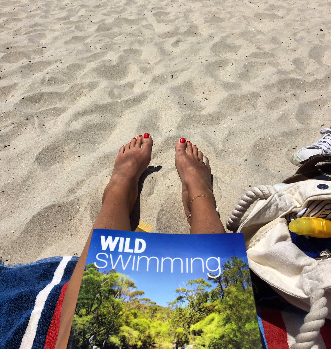 jojoprawn's tweet photo. Adventure planning https://t.co/eakA5GHX4l
