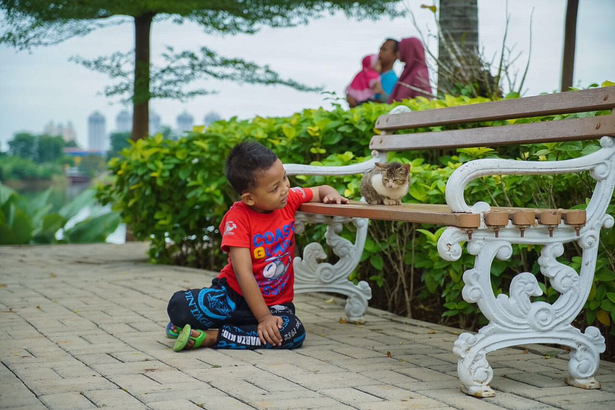 dianparamita's tweet image. "Seharusnya Ahok tidak fokus bangun benda mati saja lalu dipamerkan lewat foto." Oke, ini foto makhluk hidupnya. #MemotretJakartaBaru