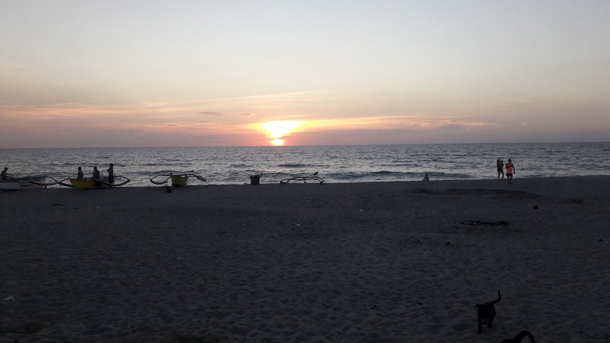adventuresandy tweet picture