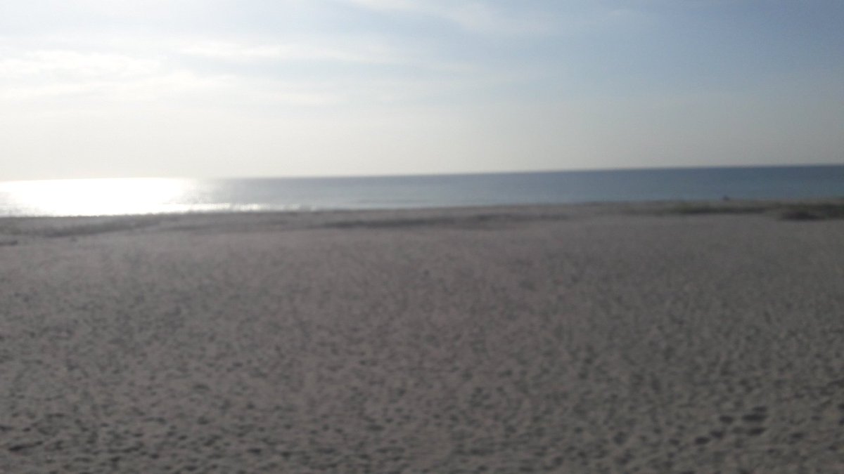 adventuresandy tweet picture