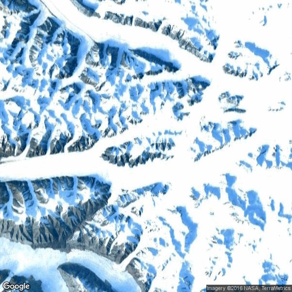 SaveTheArcticGlacier tweet media