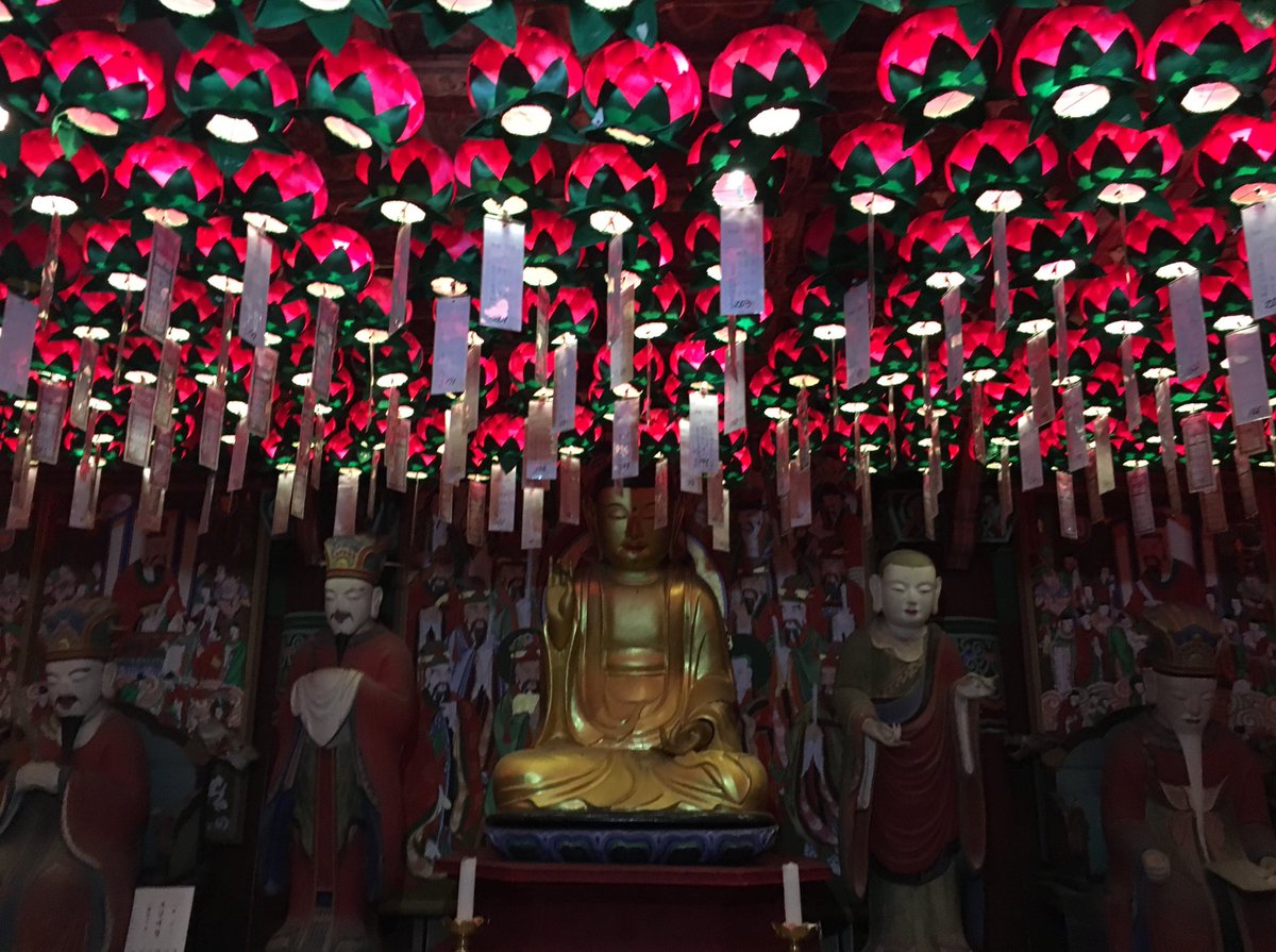 BenjiWZW's tweet photo. 🏮 https://t.co/snsIVZc0Gk