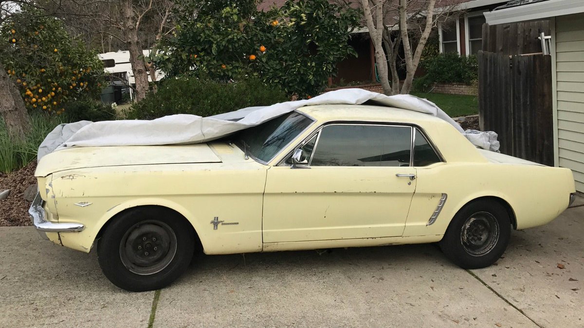 barnfinds's tweet photo. Uncovered: 1965 Mustang #BarnFind - https://t.co/9EbdXtTa38 https://t.co/b2smYjHIXF