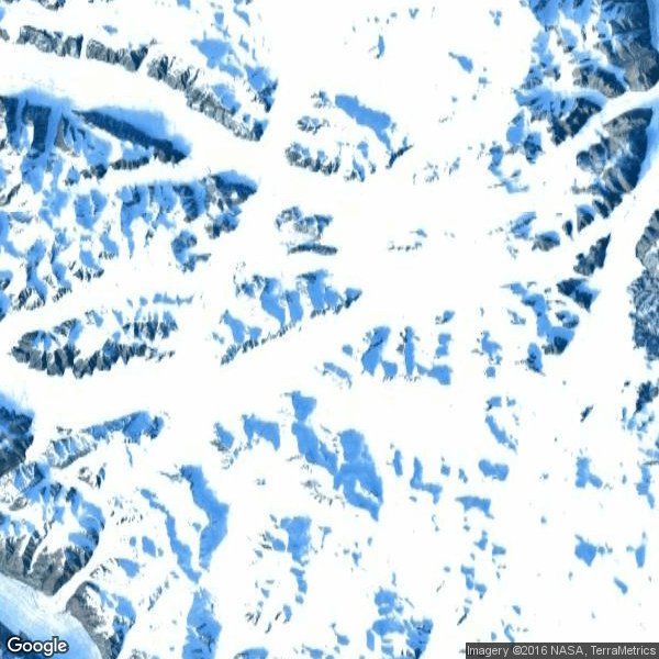 SaveTheArcticGlacier tweet media