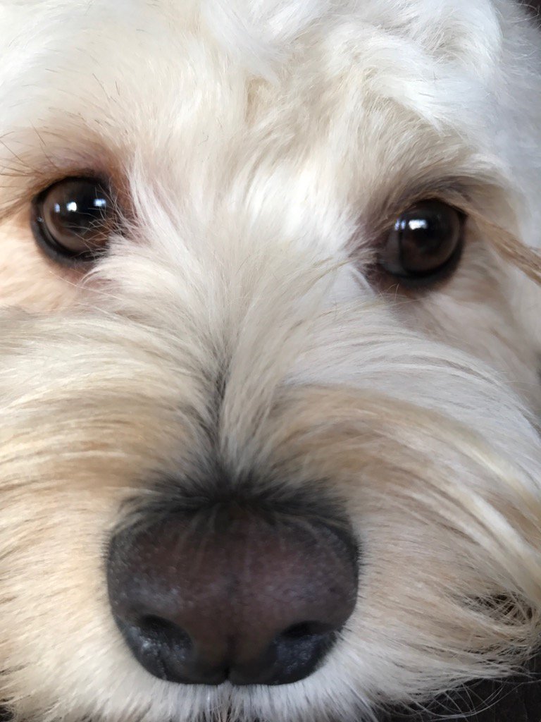 GraeArea's tweet photo. Just a lazy sunday https://t.co/7NOendifyy