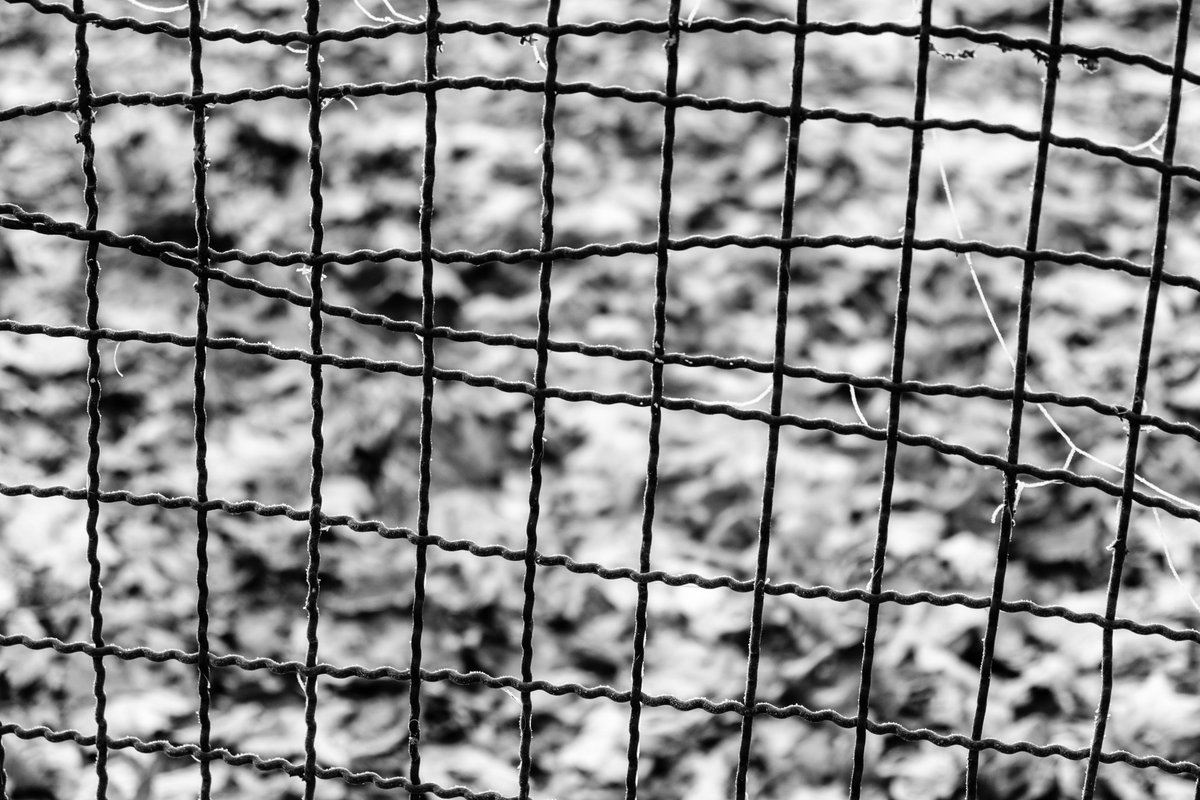 jbartke77's tweet photo. Fence #Hannover #Leinemasch #winter #frost #photography #blackandwhitephotography #fujifilm #xt2 #xf1855 #fuji #Monochrome #blackandwhite https://t.co/TRhy1j8l3n