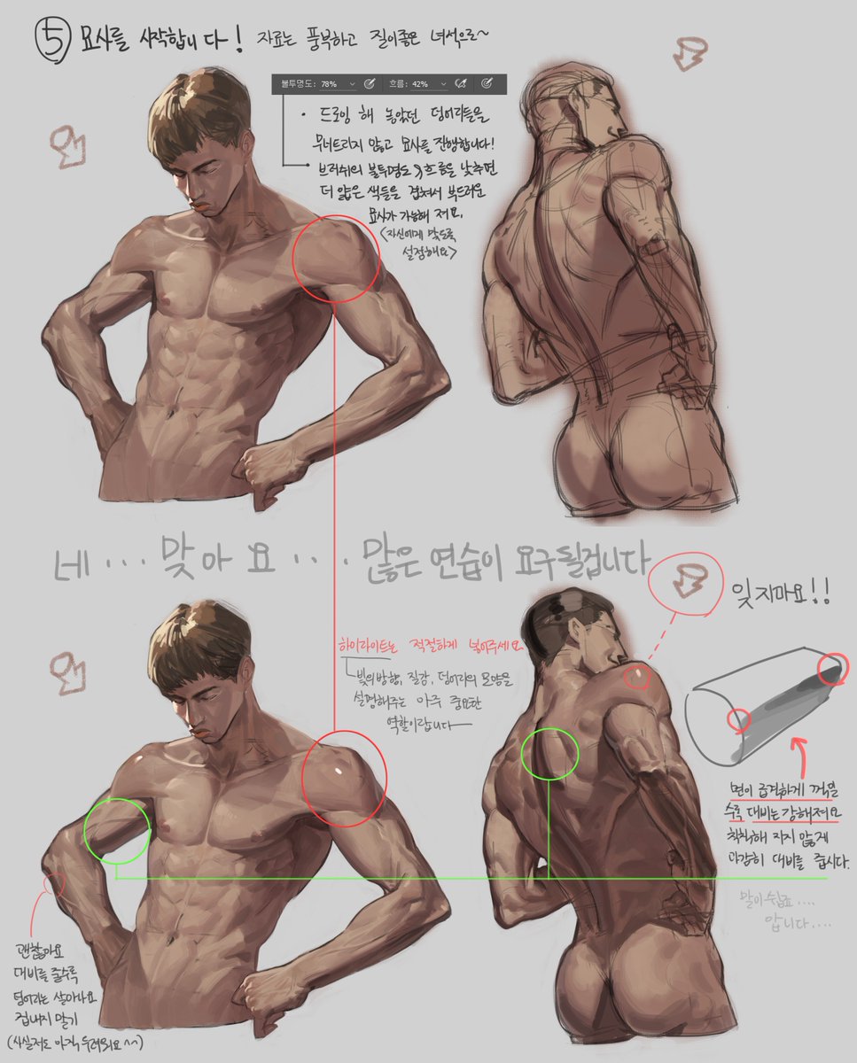 annim1011's tweet photo. <근육,,,몰ㄱㅏ?>아마도 실사 근육그리기 튜토리얼입니다! 많은분들에게 도움이 되길바라요!! 과정 움짤도 첨부할게요!!이 튜토리얼에 들어간 설명들은 주관적인것이며 사실과 무관할수잇습니다 열공!!💪😎드팩으로오시면 더상세한 수업들으실수 있습니다(깨알홍보) https://t.co/ClgLXcDZNc