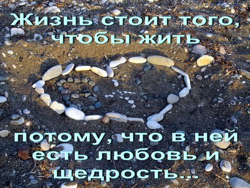 стоило жить. смерть стоит того чтобы жить а любовь стоит того чтобы ждать в цой. стоило жить. иллюстрация к стихотворению хорошее отношение к лошадям. любовь стоит того чтобы ждать.