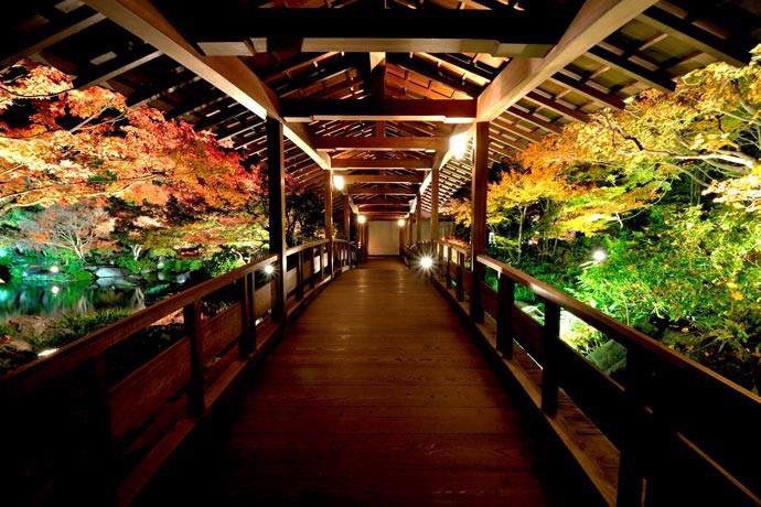 jptrnds's tweet photo. Himeji Castle in Autumn, #Japan #Travel https://t.co/tXbSpT4Pcz