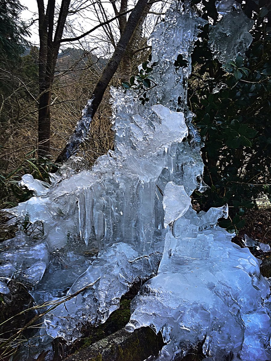 i_halation's tweet photo. 水道管？が破裂した所から水が漏れて、徐々に凍っていったみたいですねぇ。
実はここ、九州。大分県。笑 https://t.co/TkvCiwBvhT