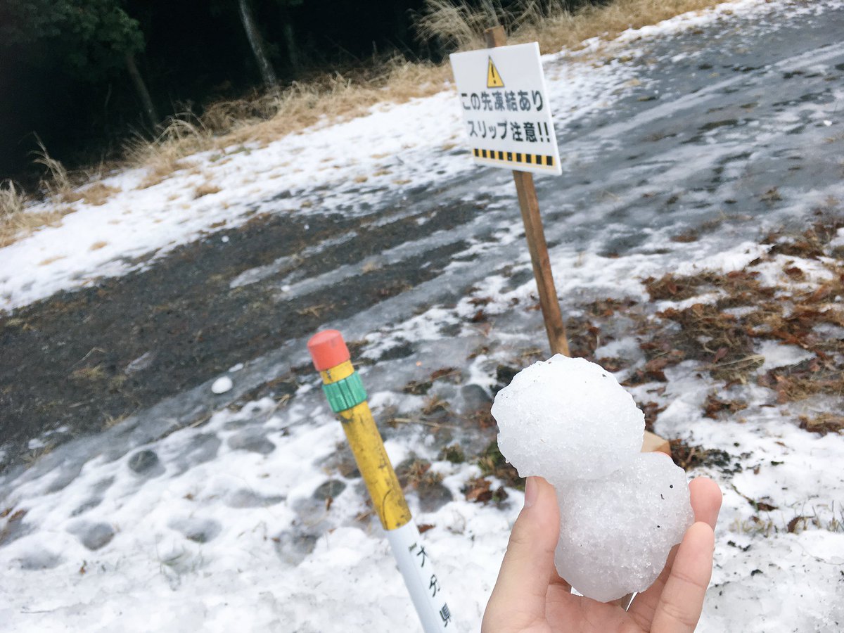 i_halation's tweet photo. 水道管？が破裂した所から水が漏れて、徐々に凍っていったみたいですねぇ。
実はここ、九州。大分県。笑 https://t.co/TkvCiwBvhT